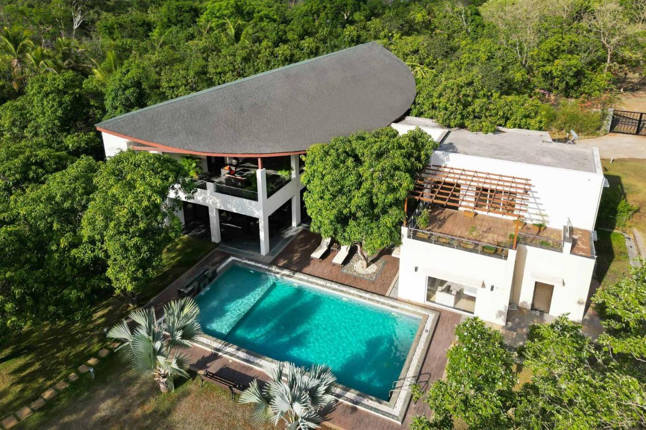 The Leaf By Stayvista - An Enchanting Escape Offering A Pool, Terrace, Lush Lawn, Contemporary Interiors, And Indoor Games อลีบาก ภายนอก รูปภาพ